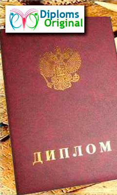 Купить Диплом В Новосибирске Отзывы